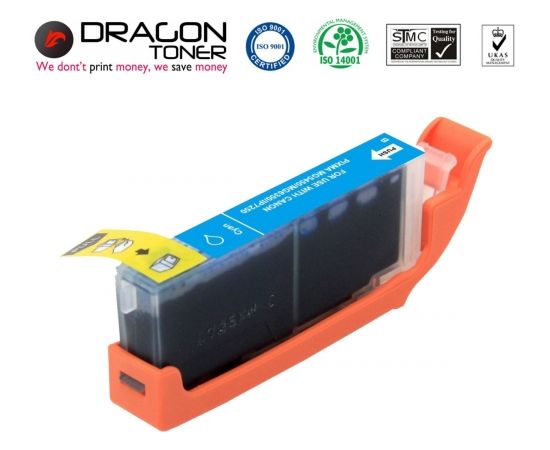 Epson DRAGON-TE-T1292C (C13T12924010)
