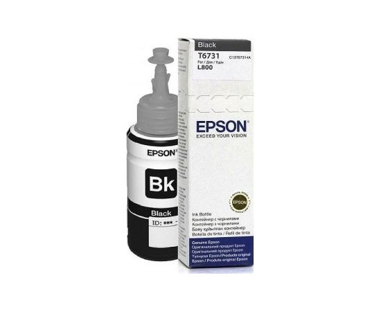 Epson T6731 BLACK INK BOTTLE (C13T67314A)