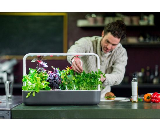 Click & Grow Smart Garden 9, pelēks