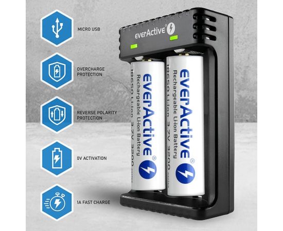 Charger for Cylindrical li-ion Batteries everActive LC-200