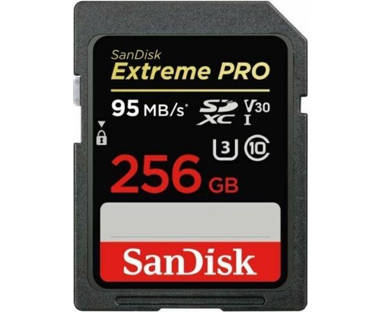 MEMORY SDXC 256GB UHS-1/SDSDXXD-256G-GN4IN SANDISK