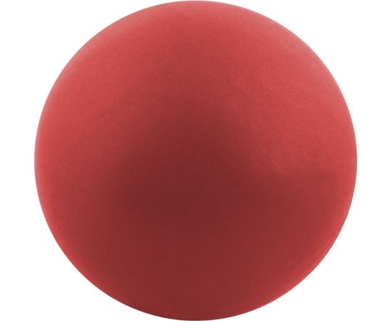 Aerobikas bumba Spartan, 25 cm Fitnesa bumbas