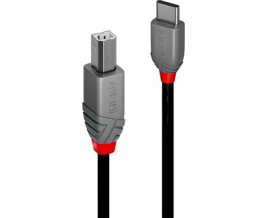 CABLE USB2 C-B 1M/ANTHRA 36941 LINDY