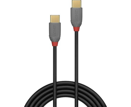 CABLE USB2 TYPE C 2M/ANTHRA 36872 LINDY