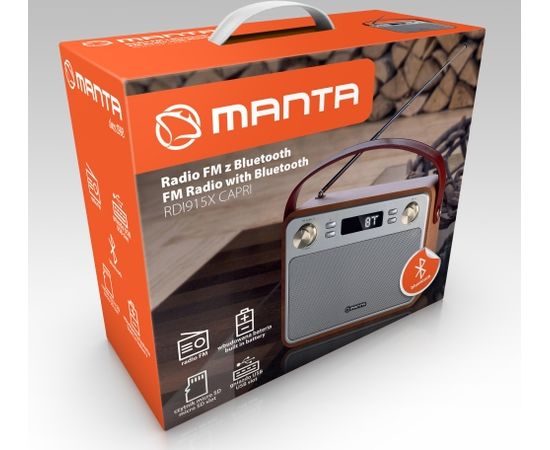 Radio with Bluetooth Manta RDI915X