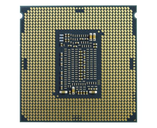 Intel Xeon E-2324G processor 3.1 GHz 8 MB Smart Cache
