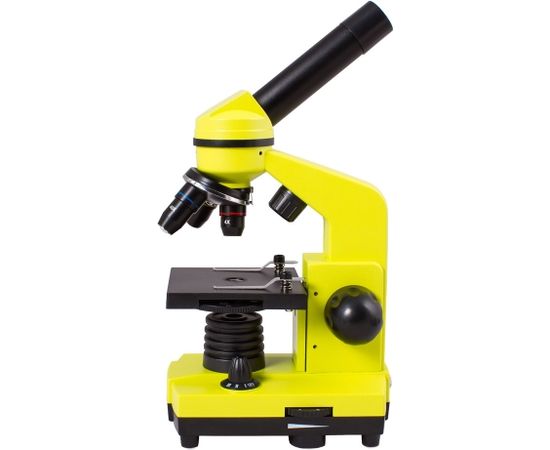 Микроскоп Levenhuk Rainbow 2L Lime\Лайм 40x-400x с экспериментальным комплектом K50