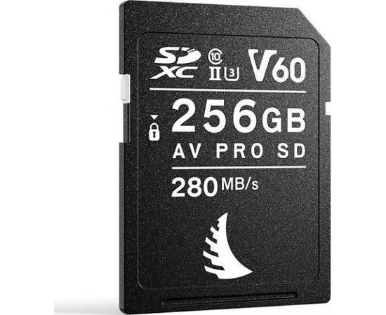 Angelbird AV PRO SD MK2 V60 SDXC 256 GB Class 10 UHS-II/U3 V60 (AVP256SDMK2V60)