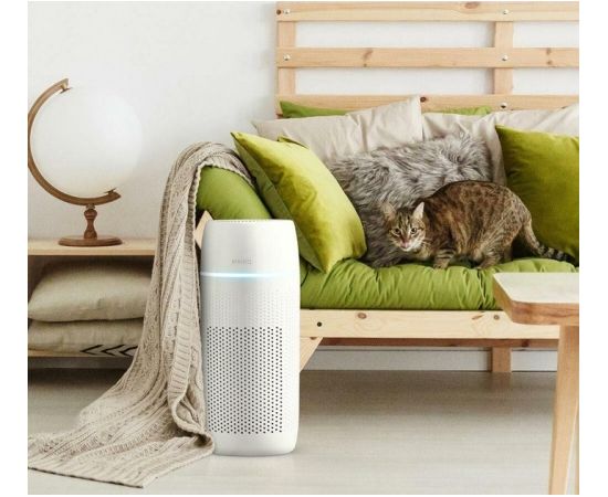 Homedics AP-PET35WT-EU TotalClean PetPlus 5 in 1 Air Purifier