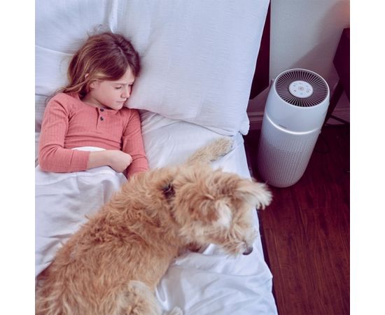 Homedics AP-PET35WT-EU TotalClean PetPlus 5 in 1 Air Purifier