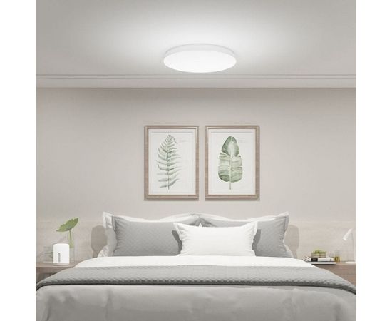Xiaomi Mi Smart LED Ceiling Light 350mm Viedā Griestu lampa Wi-Fi / Bluetooth 24W