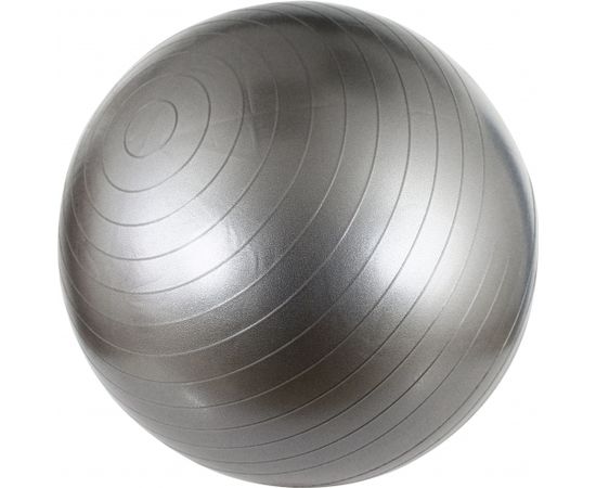 Гимнастический мяч AVENTO 42OA 55cm Silver