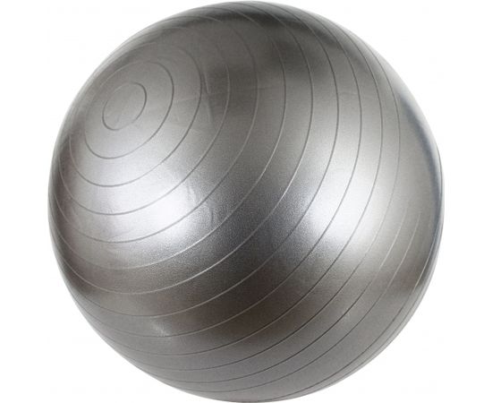 Gym Ball AVENTO 42OA 55cm Silver