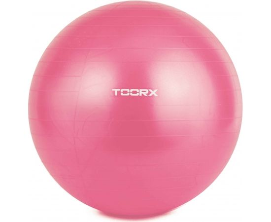 Toorx Гимнастический мяч AHF-012 D55cm su pompa Fitnesa bumbas