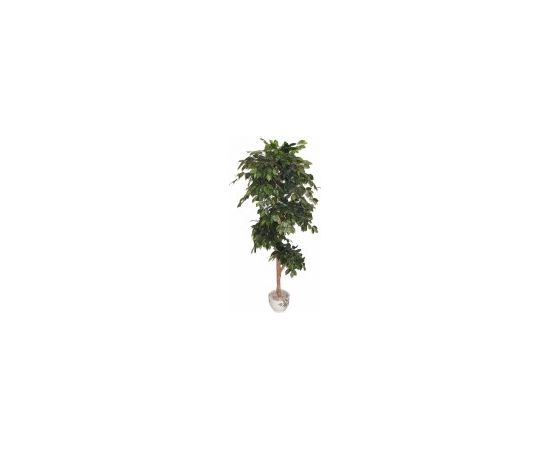 Mākslīgais augs/koks 180cm Fikuss D317TC