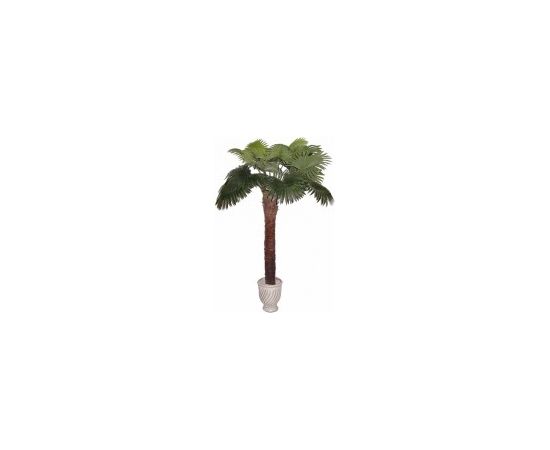 Mākslīgais augs/koks 200cm Palma B402TL