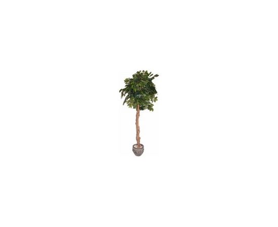 Mākslīgais augs/koks 150cm Fikuss B313TA