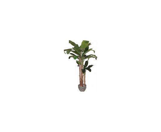 Mākslīgais augs/koks 240cm B283TC