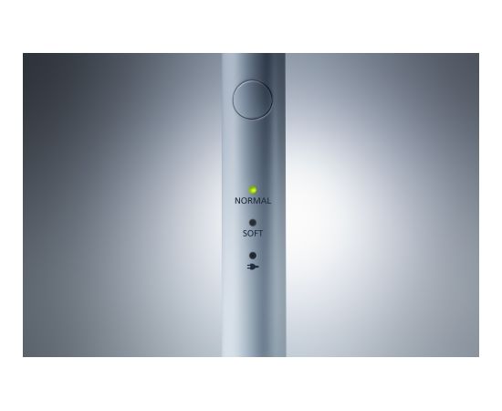 Panasonic Toothbrush EW-DM81 Rechargeable, For adults, Number of brush heads included 2, Number of teeth brushing modes 2, White