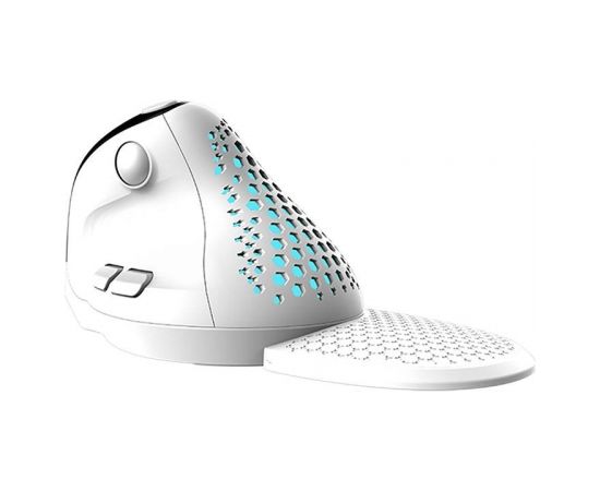 Wireless Ergonomic Mouse Delux M618XSD BT+2.4G RGB (white)