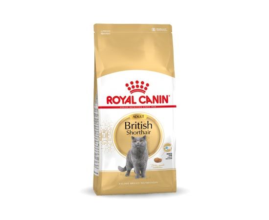Royal Canin British Shorthair Adult cats dry food 10 kg