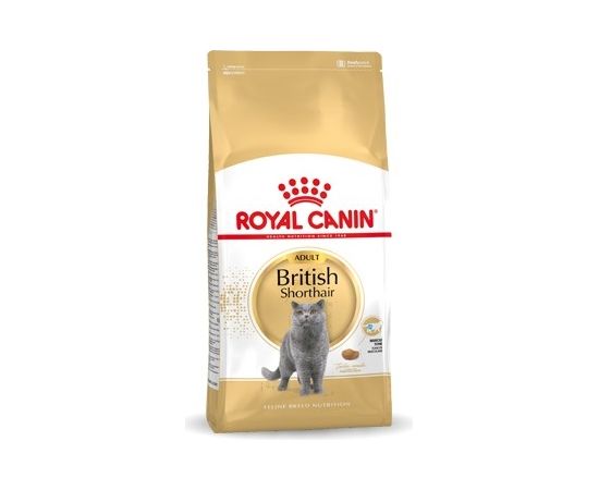 Royal Canin British Shorthair Adult cats dry food 4 kg