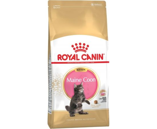 Royal Canin Maine Coon Kitten cats dry food 2 kg Poultry