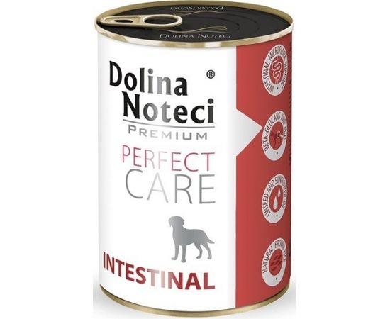 Dolina Noteci Premium Perfect Care Intestinal  400g