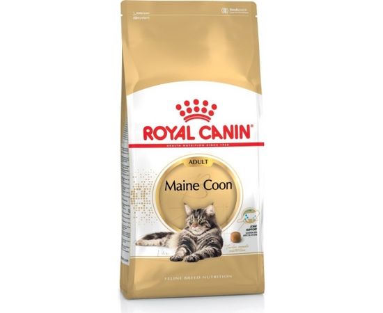 Royal Canin Maine Coon cats dry food 4 kg Adult