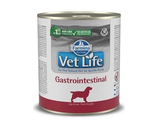 Farmina Vet Life Diet DOG Gastrointestinal 300 g