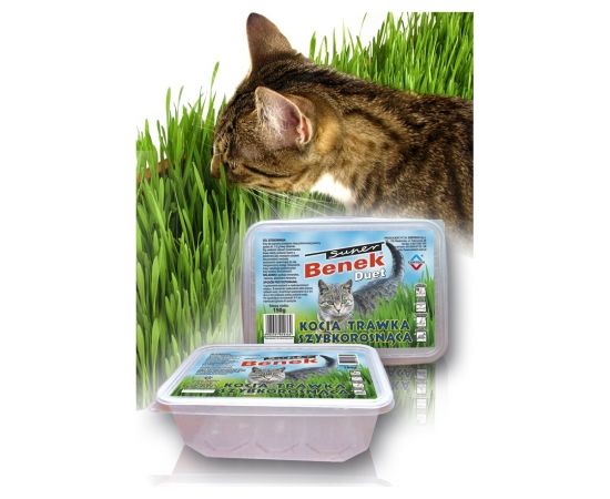 Certech 10319 pet grass seed Cat