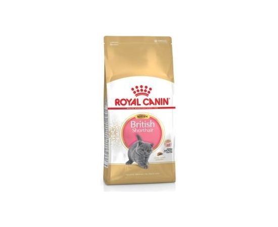 Royal Canin British Shorthair Kitten cats dry food 400 g Adult Poultry