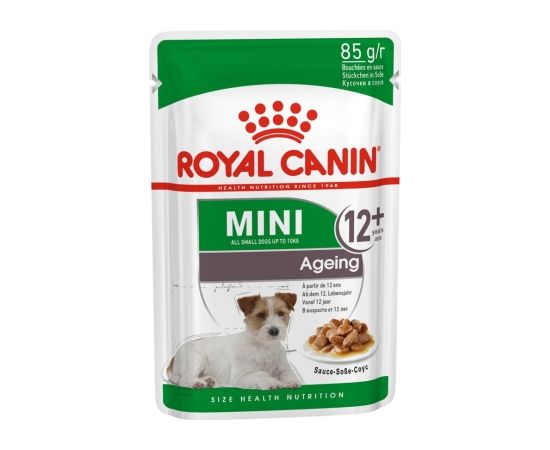 ROYAL CANIN Mini Ageing 12+ Wet dog food Chunks in sauce 12x85 g