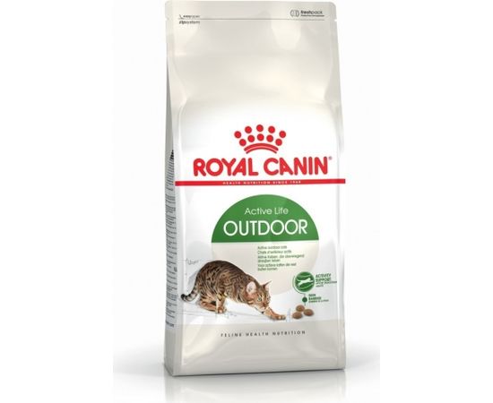 Royal Canin Active Life Outdoor cats dry food 4 kg Adult Poultry