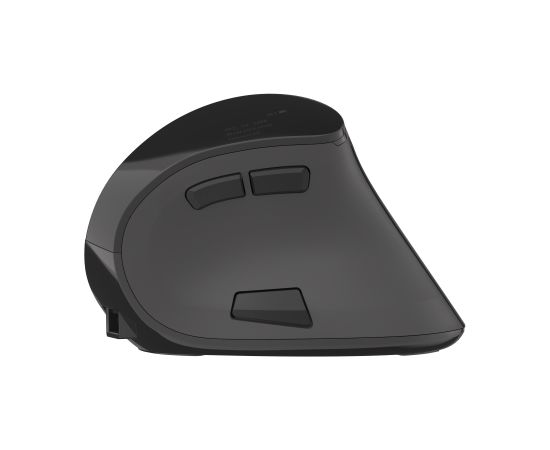 Natec Vertical Mouse Euphonie Wireless, Black, Optical