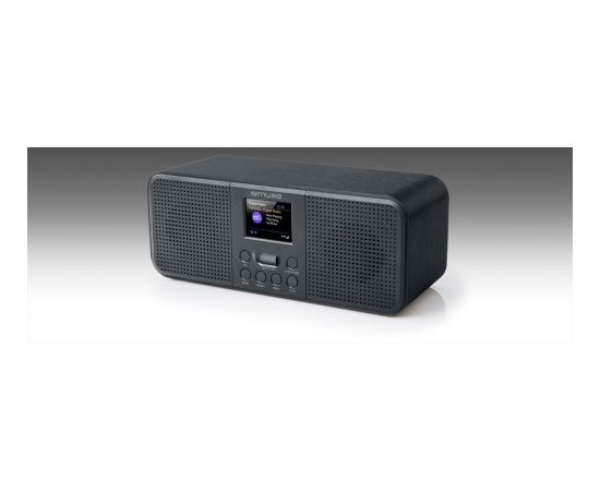Muse M-122 DBT Radio with DAB, Bluetooth, Portable, Black