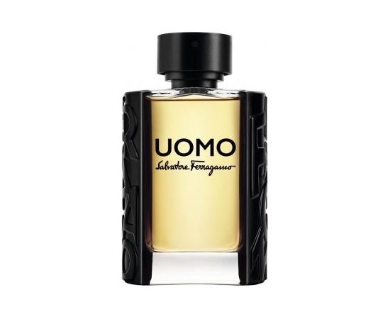 Salvatore Ferragamo Uomo EDT 100 ml