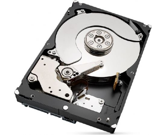 Seagate IronWolf Pro ST4000NT001 internal hard drive 3.5" 4000 GB