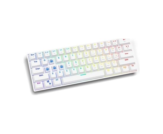 SAVIO Mechanical Keyboard Whiteout Blue (Outemu Blue ), White