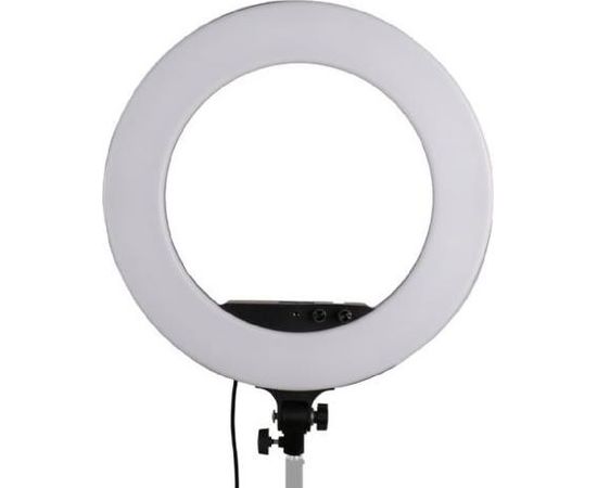 StudioKing LED круговой свет Set LED-480ASK