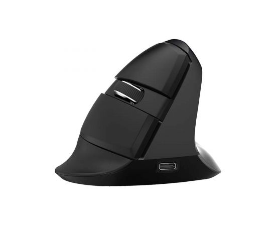 Wireless Vertical Mouse Delux M618Mini BT+2.4G RGB 4000DPI (black)