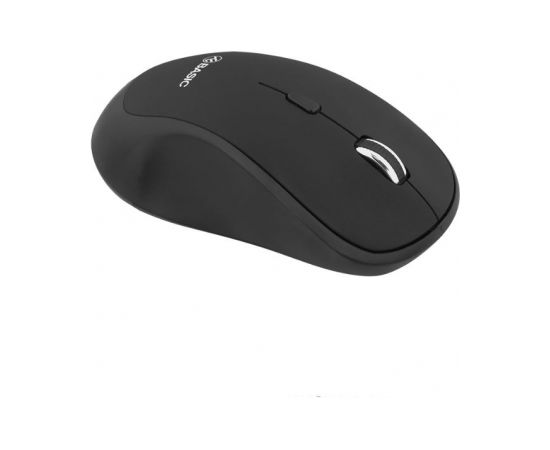 Tellur Basic Wireless Mouse regular black