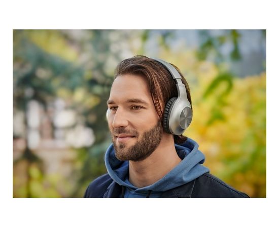 Panasonic wireless headset RB-HX220BDES, silver