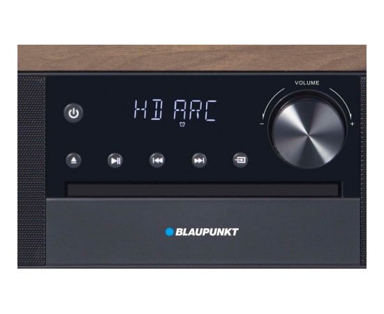 Blaupunkt MS22BT