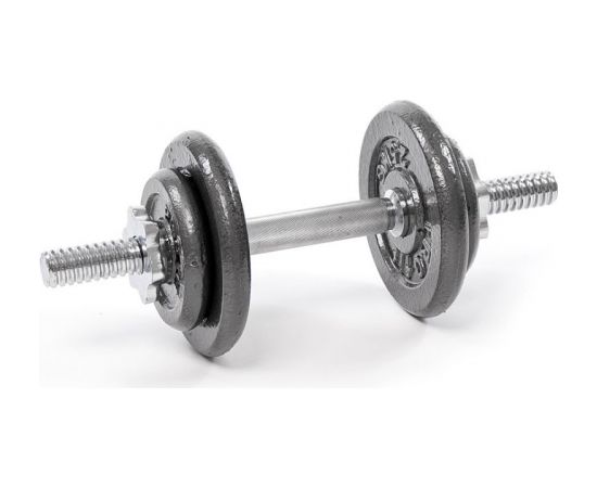 Profit 10kg DK 4126 cast iron dumbbell