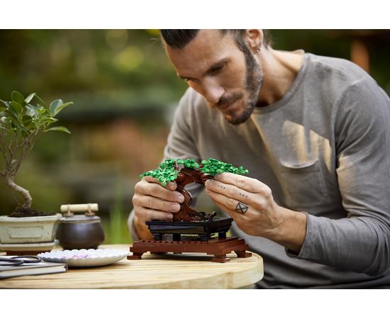 SOP LEGO Creator Expert Bonsai Baum 10281