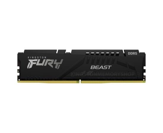 Kingston Fury Beast 16 GB, DDR5, 5200 MHz, PC/server, Registered No, ECC No, 1x16 GB