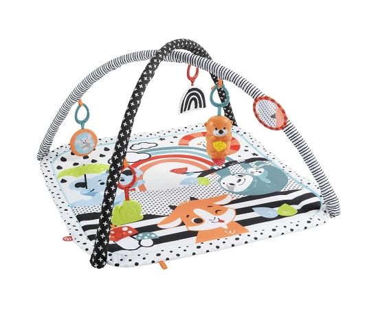 Fisher Price Fisher-Price Animal Lovers Contrast Play Mat Play Arch/Blanket