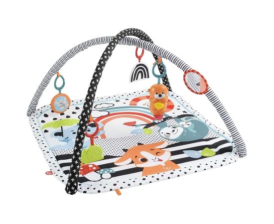 Fisher-Price Animal Lovers Contrast Play Mat Play Arch/Blanket