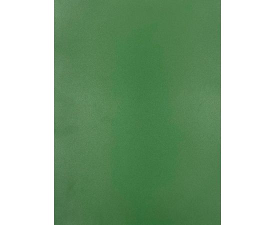 Evelatus  
       Universal  
       Universal Color Shinning A3 Film for Screen Cutter 
     Army Green